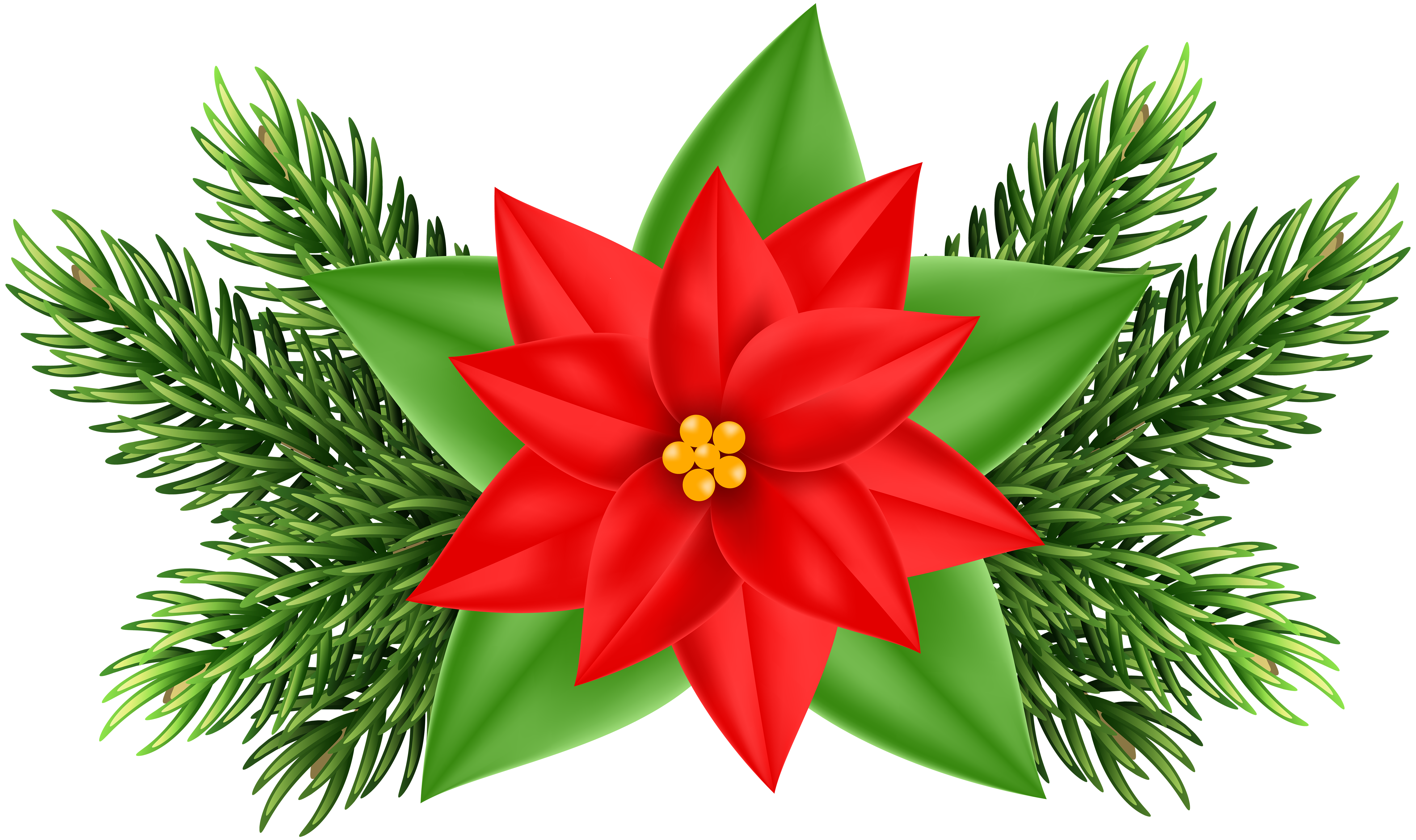 Poinsettia Clipart  | Free download