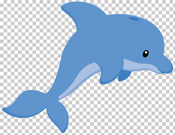 Porpoise Common bottlenose dolphin , dolphin PNG clipart | free 