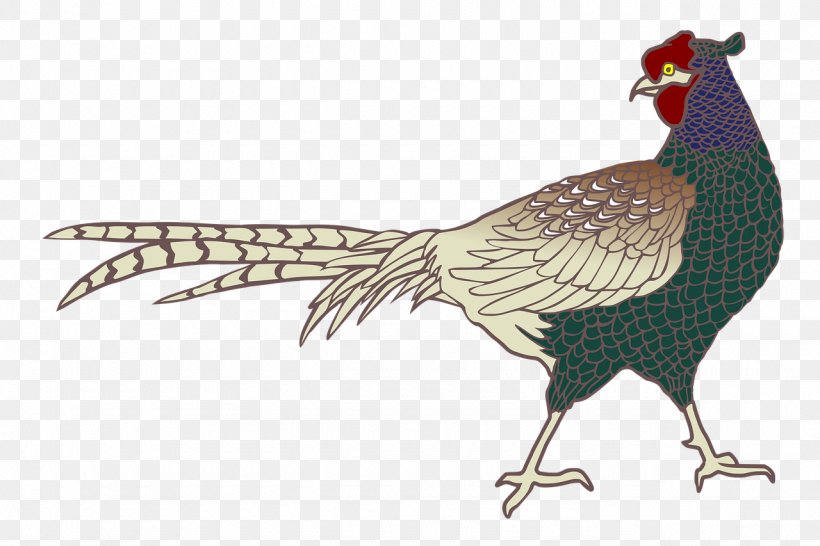 Free Green Pheasant Cliparts, Download Free Green Pheasant Cliparts png