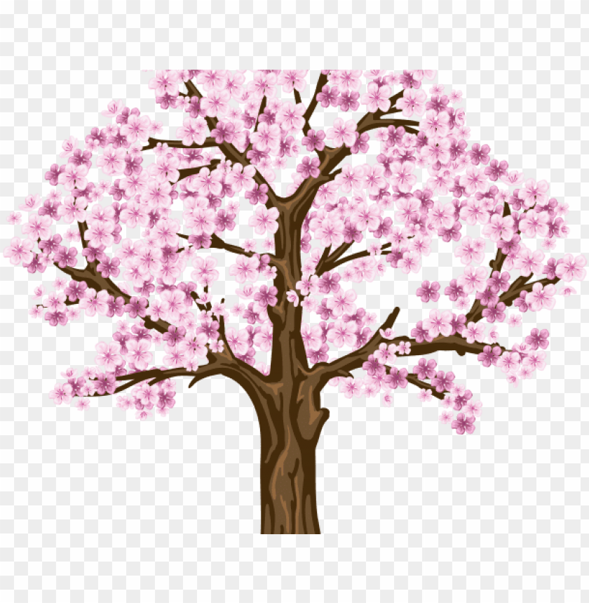 sakura clipart dogwood tree - cherry blossom tree png hd PNG image 