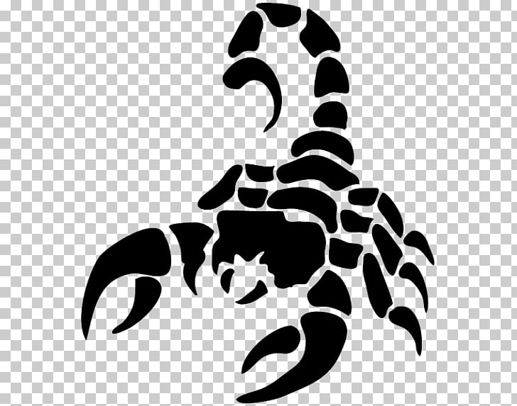 Scorpion , Scorpion Silhouette PNG clipart | free cliparts 