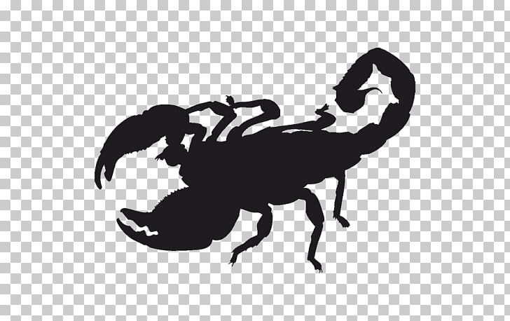 Scorpion Silhouette , Scorpion PNG clipart | free cliparts 