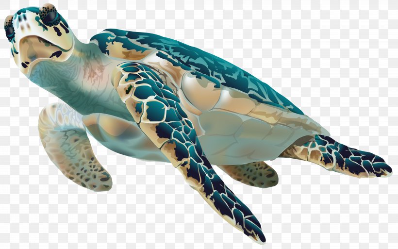Sea Turtle Clip Art, PNG, Turtle, Box Turtle, Fauna 