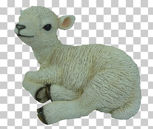 3 sitting lamb PNG cliparts for free download 