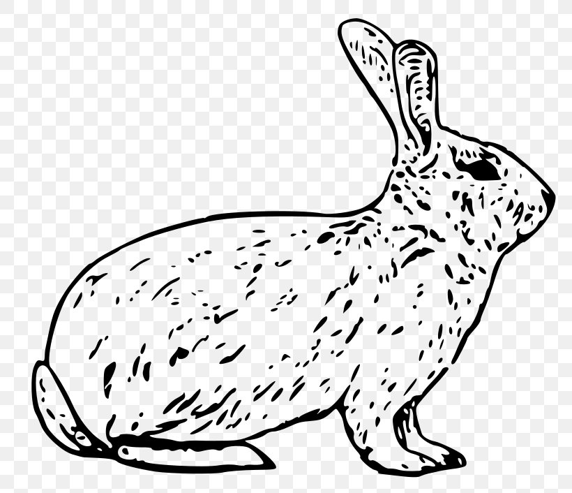 Snowshoe Hare Arctic Hare Rabbit Clip Art, PNG