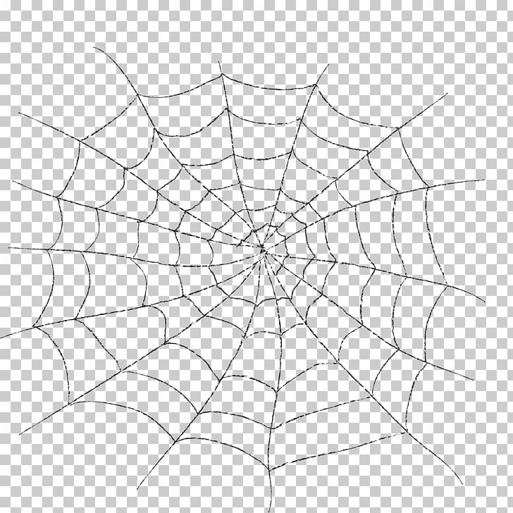 Spider web, Spider web spider web pattern PNG clipart | free 