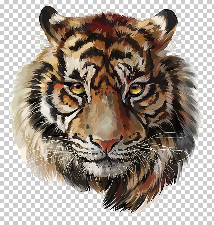 Tiger Watercolor painting Drawing, tiger, brown and black lion 