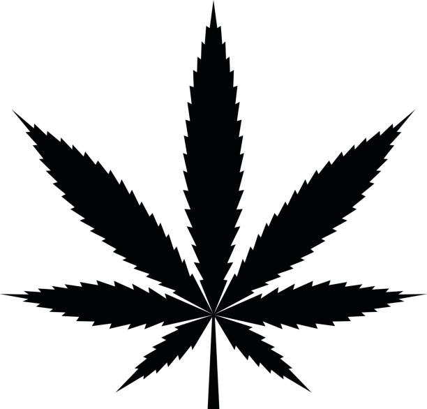 Top 60 Cannabis Leaf Clip Art Vector Graphics And Illustrations 