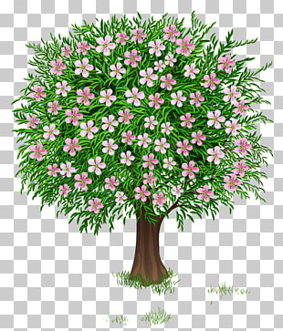 Tree Spring , Transparent Spring s PNG clipart | free cliparts 
