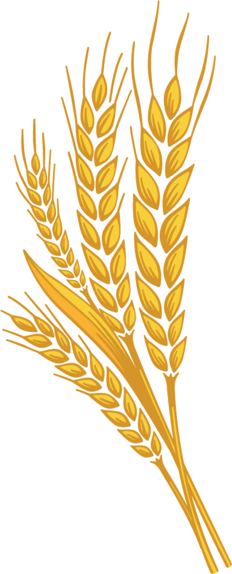 Free Wheat Cliparts, Download Free Wheat Cliparts png images, Free