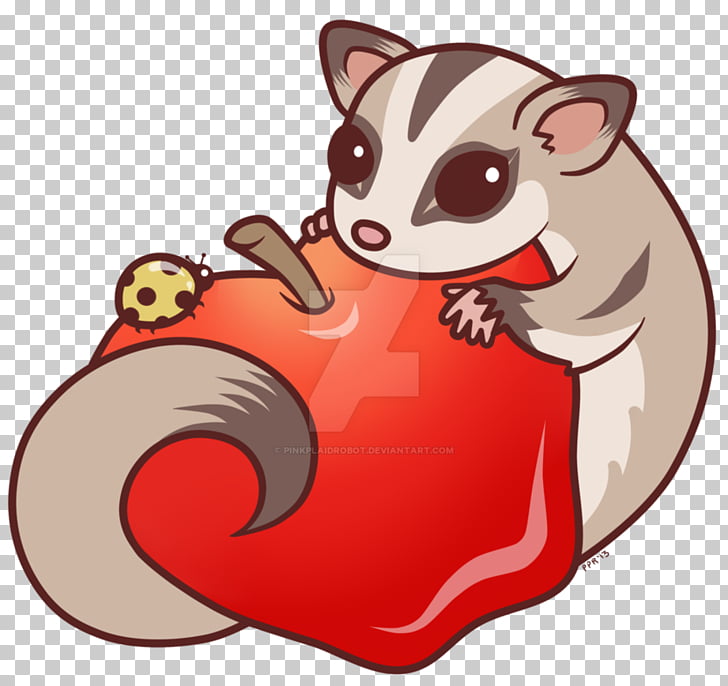 Whiskers Sugar glider Pet , sugar glider PNG clipart | free 