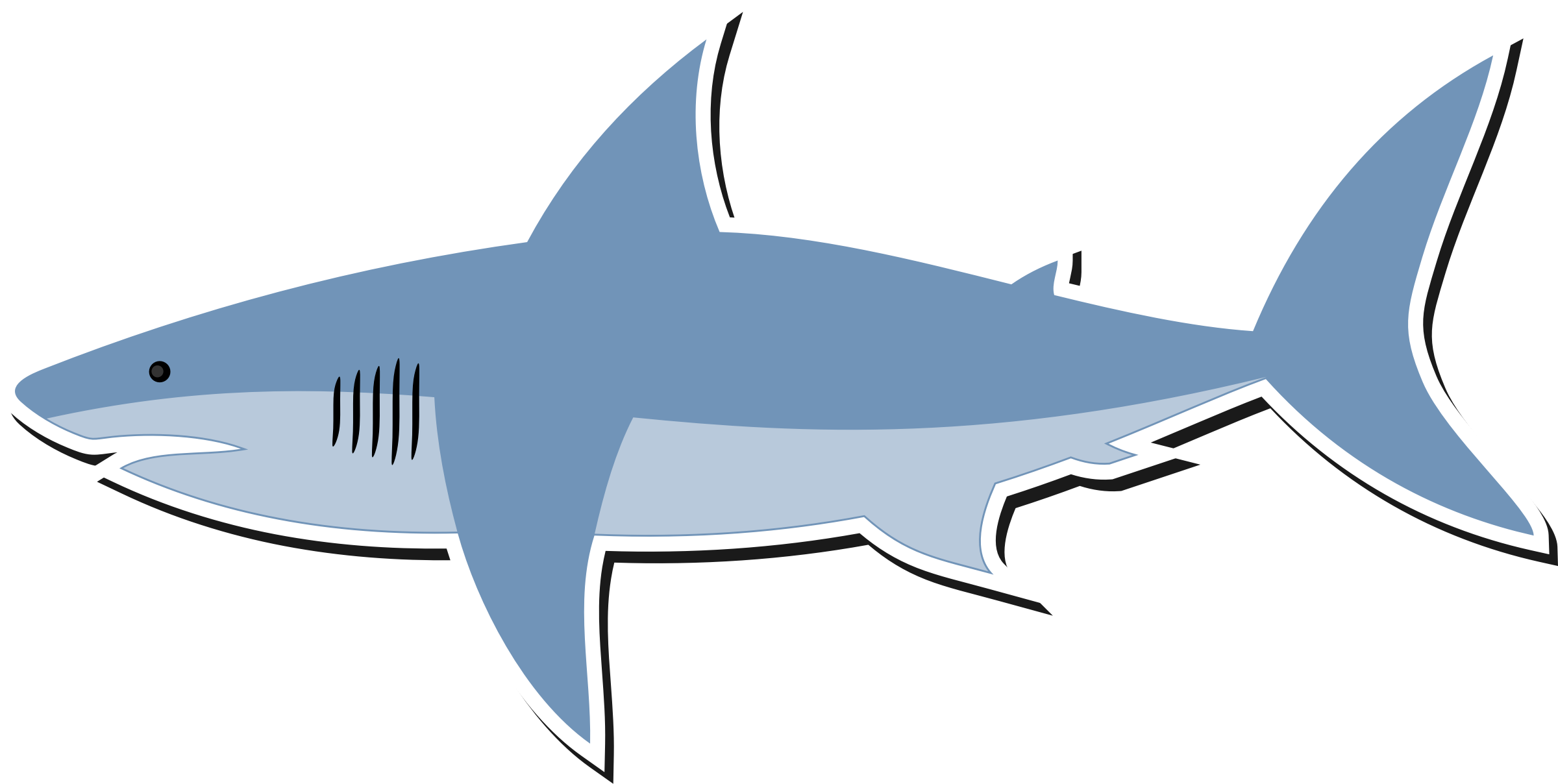 White Shark Clipart  | Free download