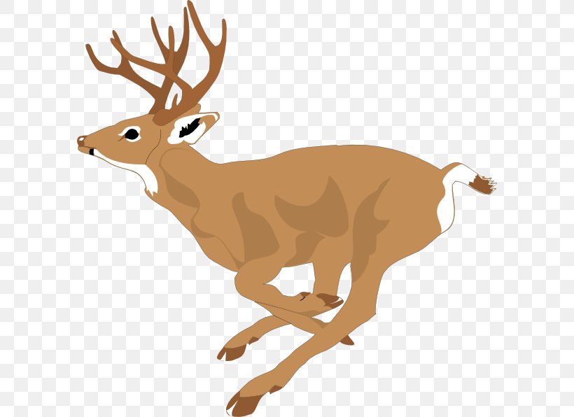 White-tailed Deer Clip Art, PNG, Deer, Antler, Deer 