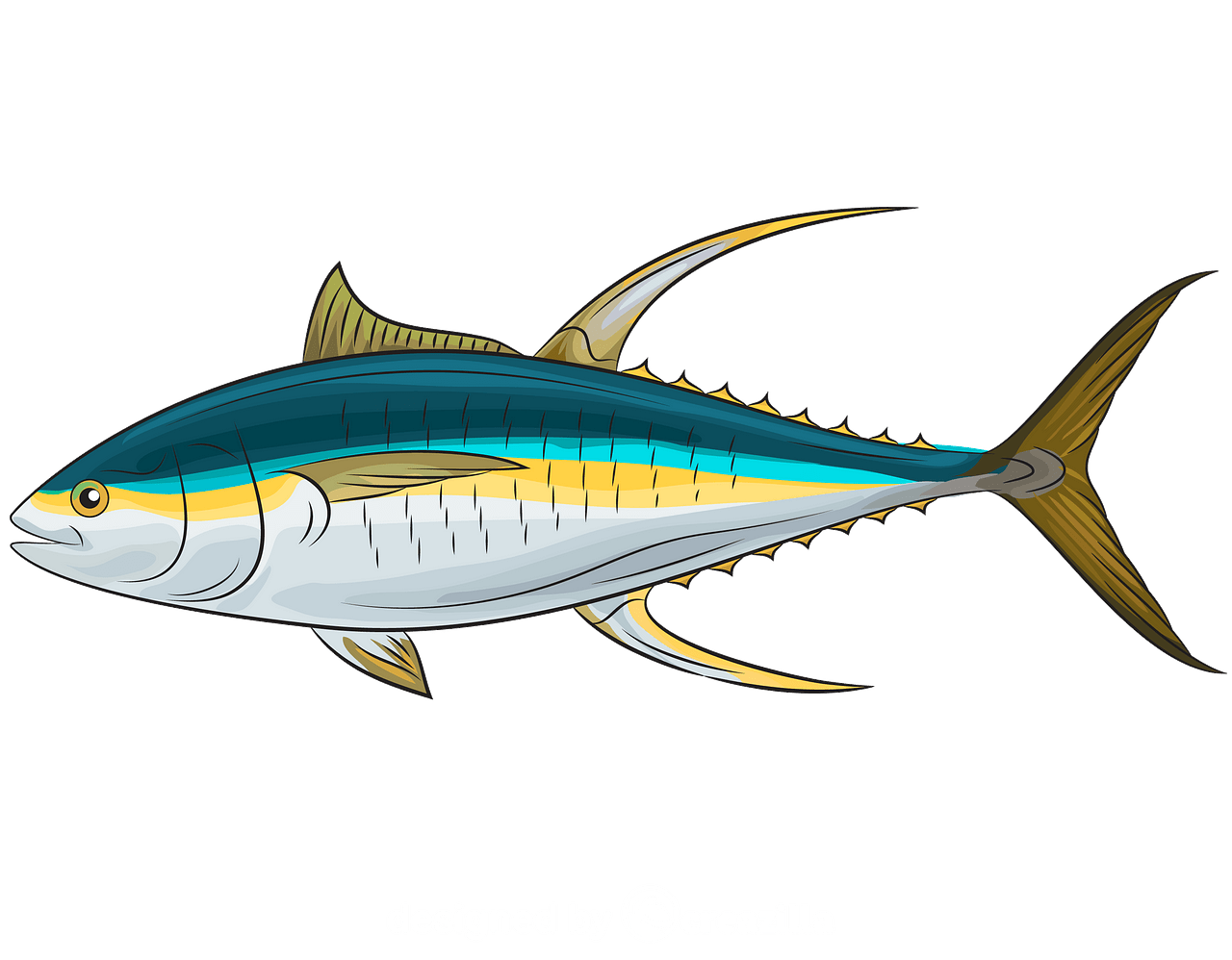 Yellowfin Tuna clipart. Free download. 