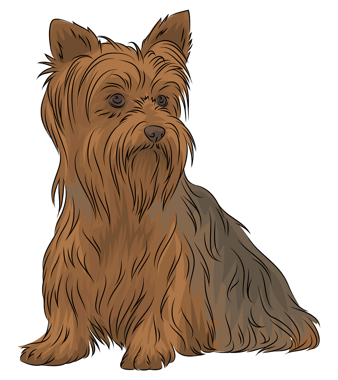 yorkshire terrier clipart - Clip Art Library
