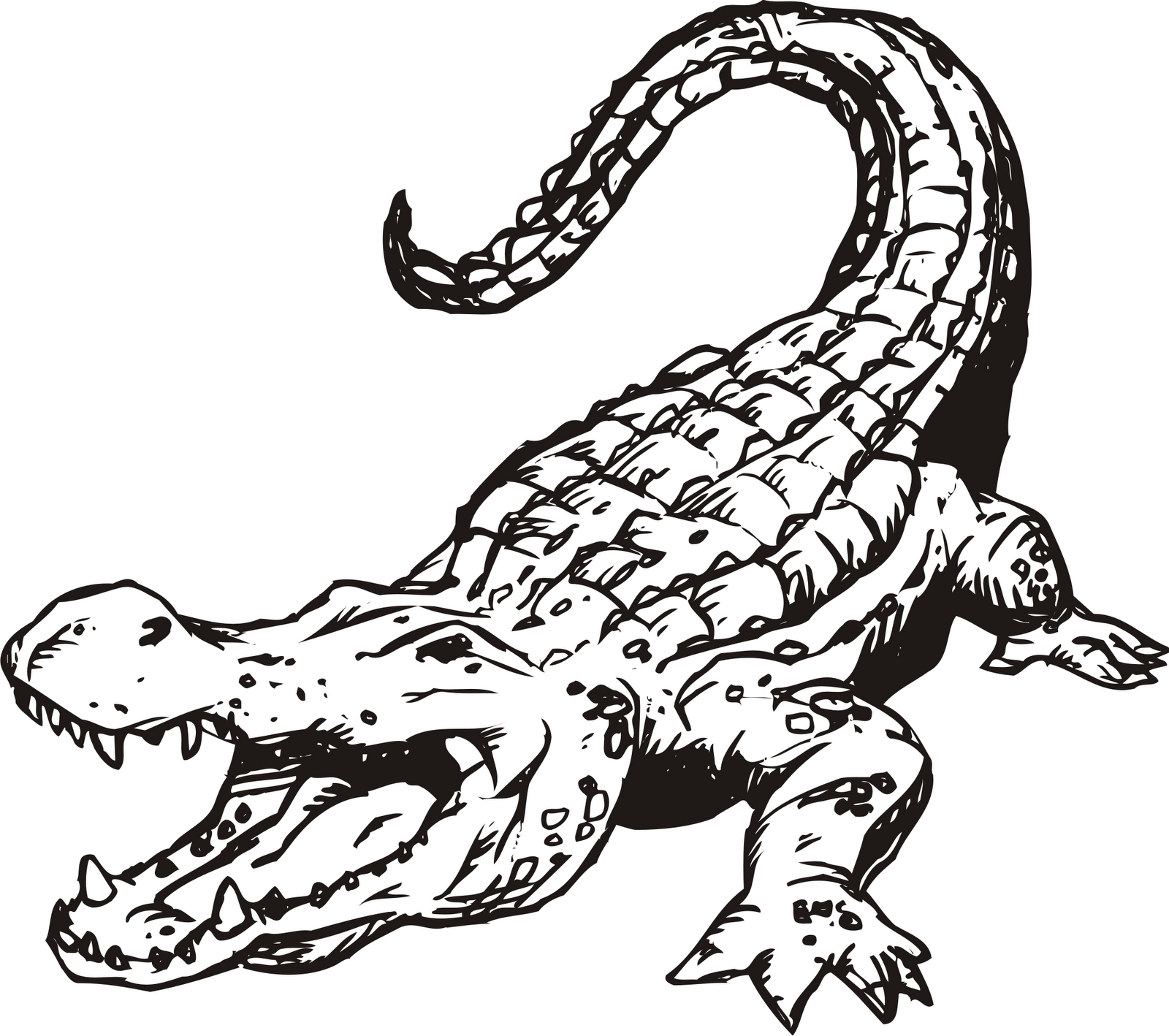 Drawn alligator clip art