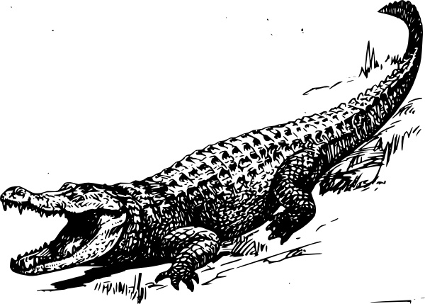 Alligator clip art, Free vector