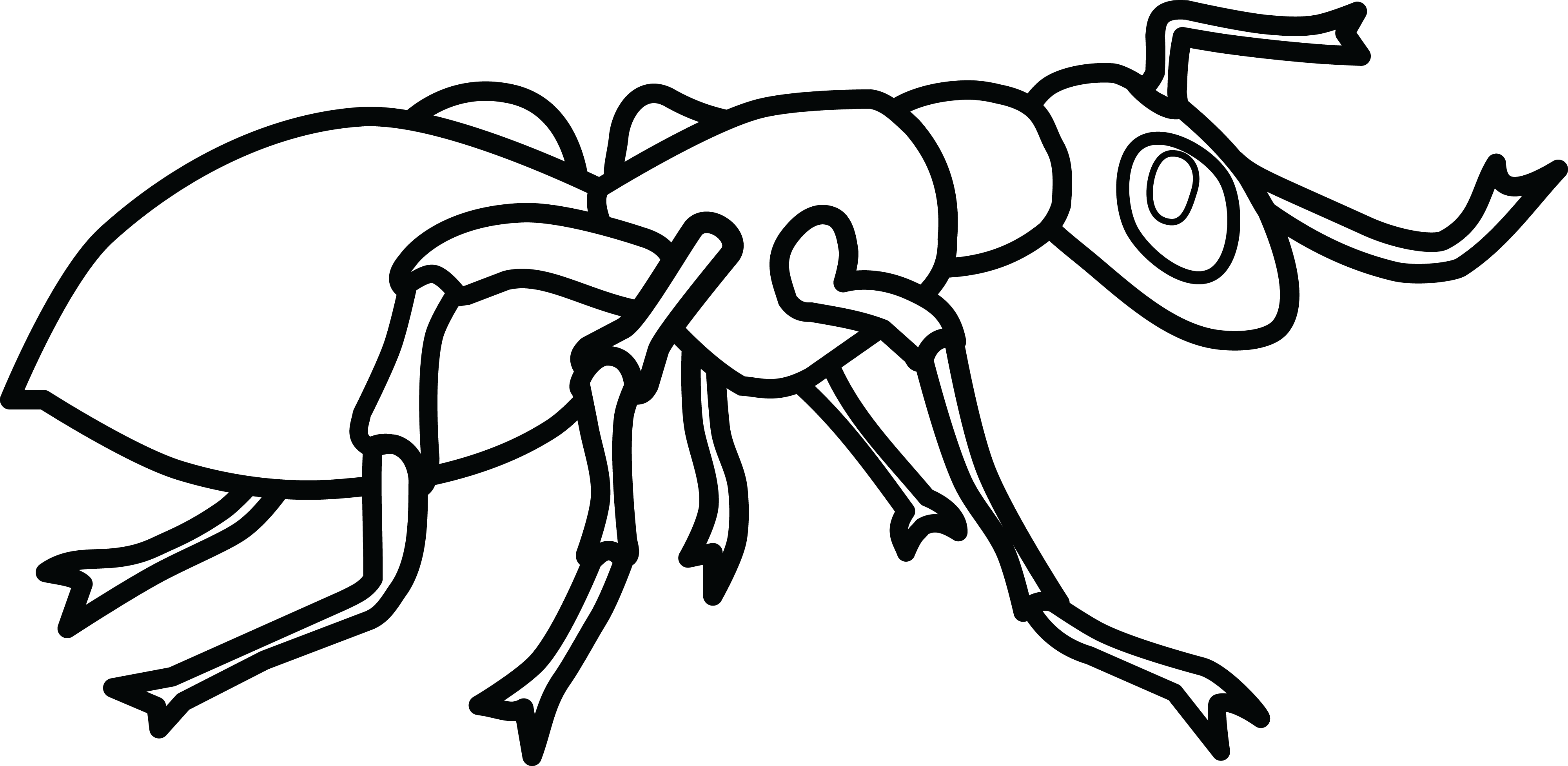 Free Clipart Of An ant_free