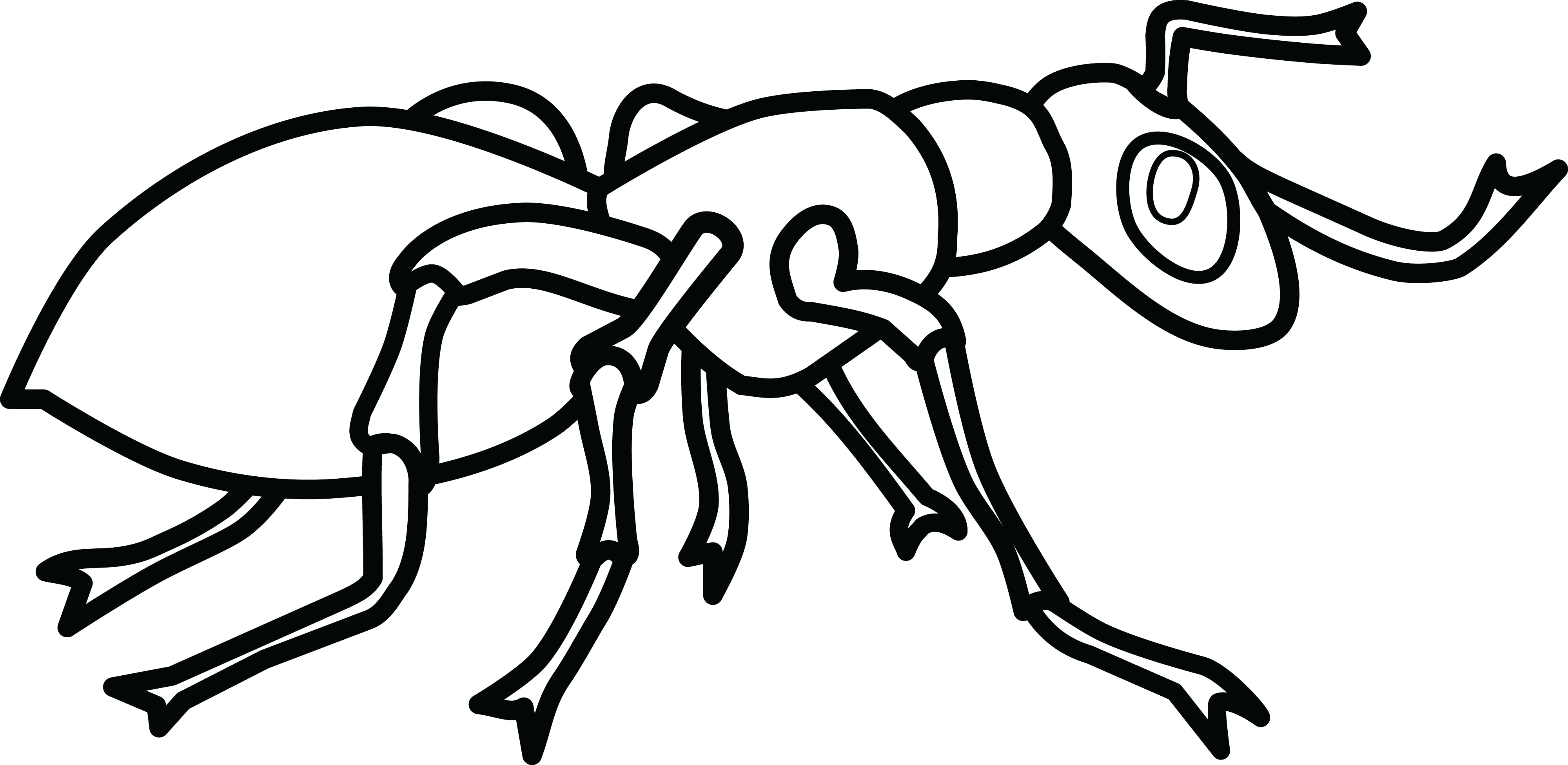 ant-clipart-bw-download-ant-cartoon-stock-vectors-macabrehallucination