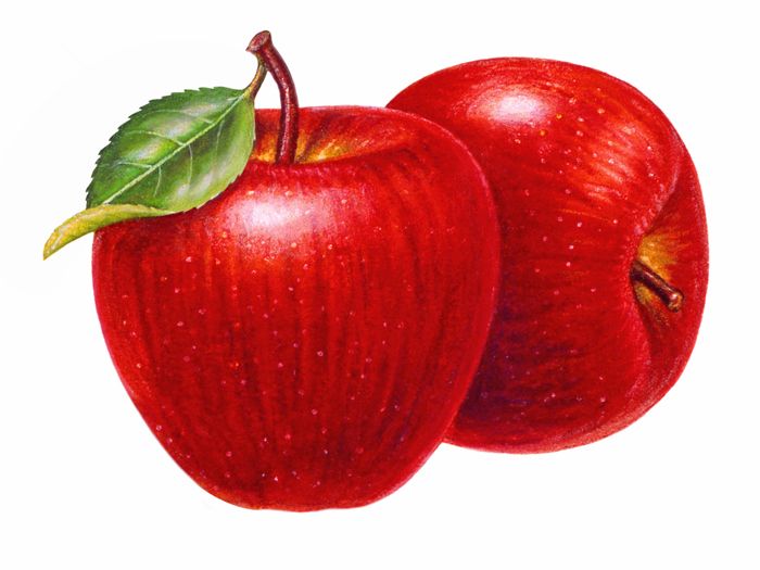 468 Best Apple Clip Art Images On Pinterest Drawings, Vegetables 