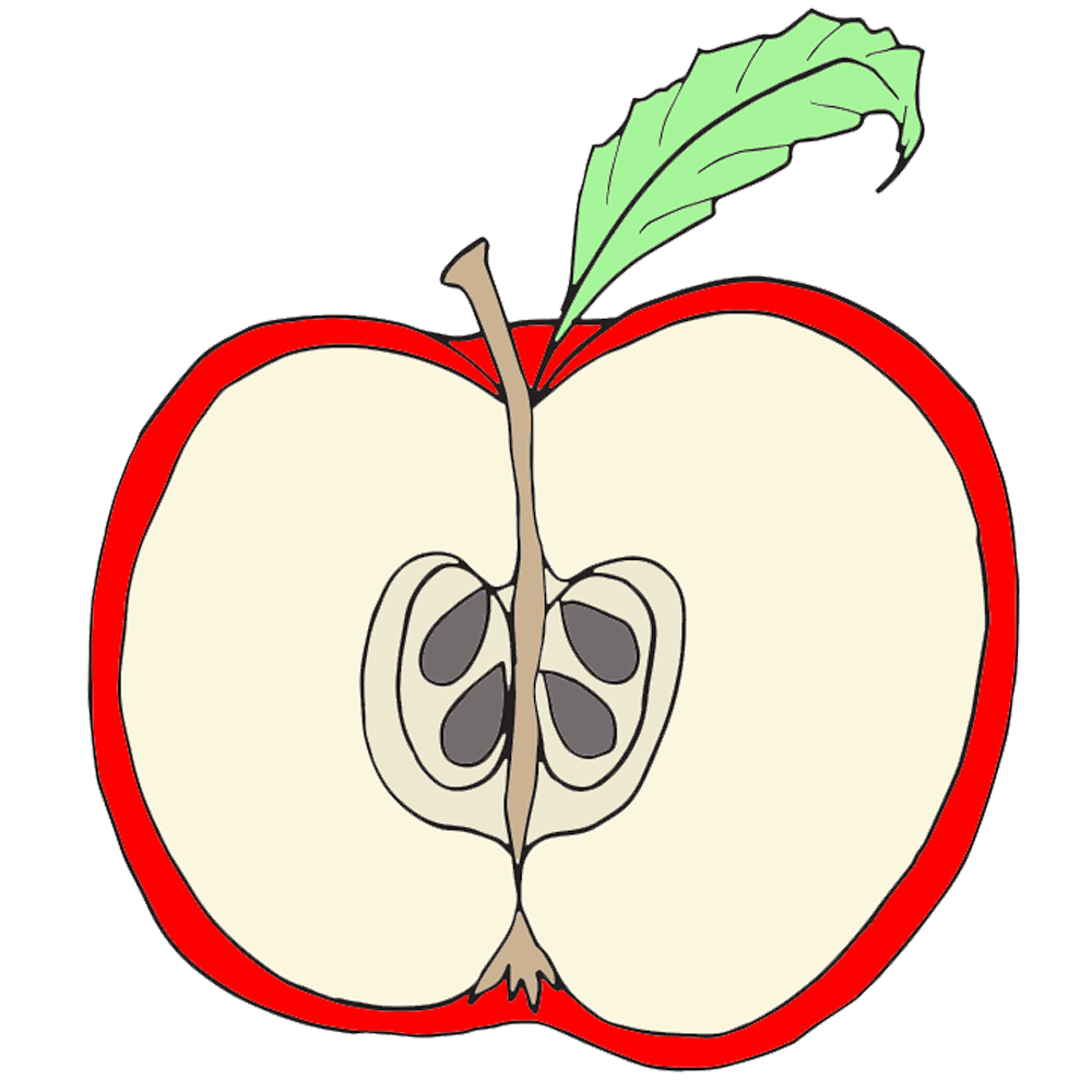 Clip Art Red Apple Red Apple Clipart Cliparts For You Cliparting