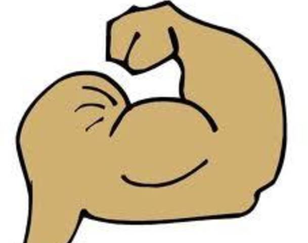 Muscle Gif Clipart Clip Art Library You are here： pngio.com » muscle arms clipart » muscles clipart. clipart library