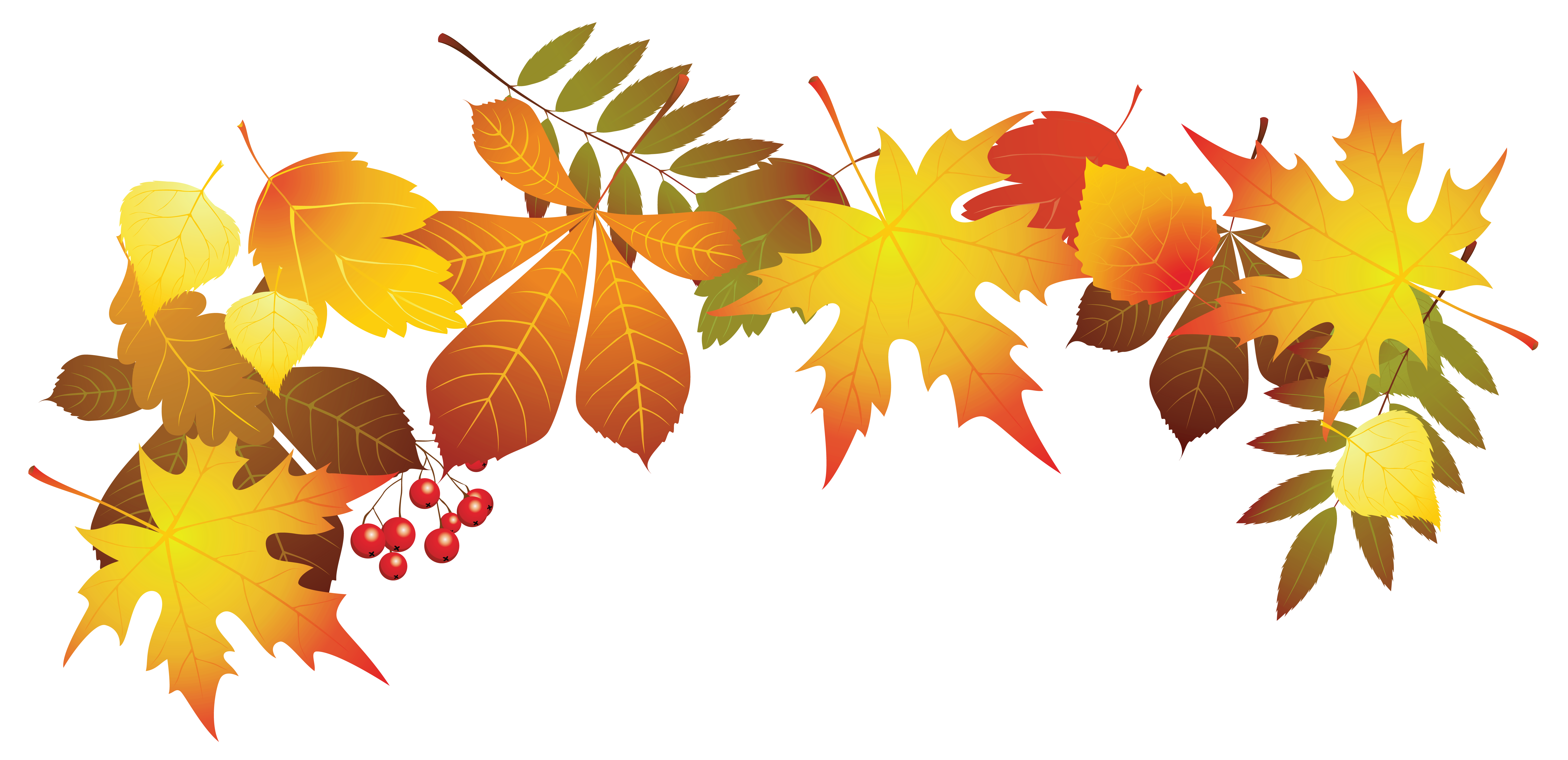 Autumn Leaves Clipart Transparent Background 