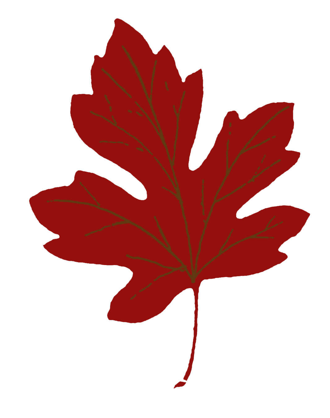 clip art fall leaf - Clip Art Library
