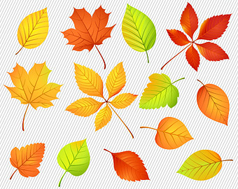 Top 83 Fall Leaf Clip Art Free Clipart Image