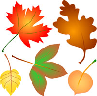 Autumn Leaves Clip Art,  Free Clipart Images