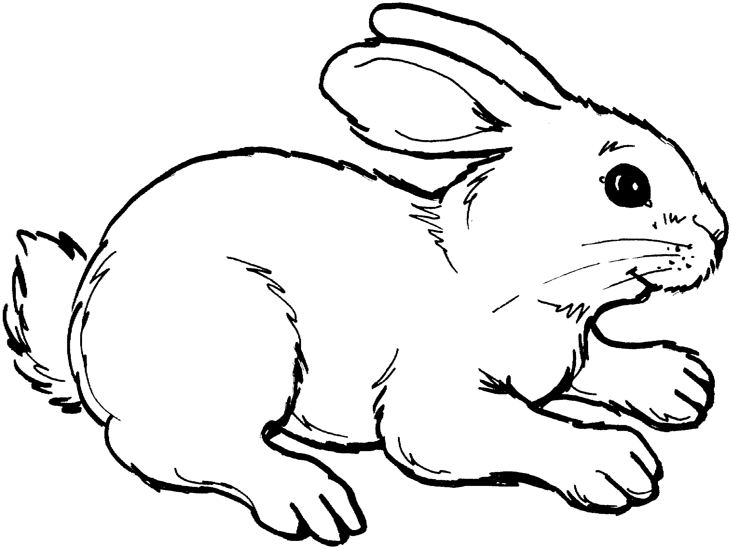 Moving bunny clip art cartoon bunny rabbits clip art images 4 