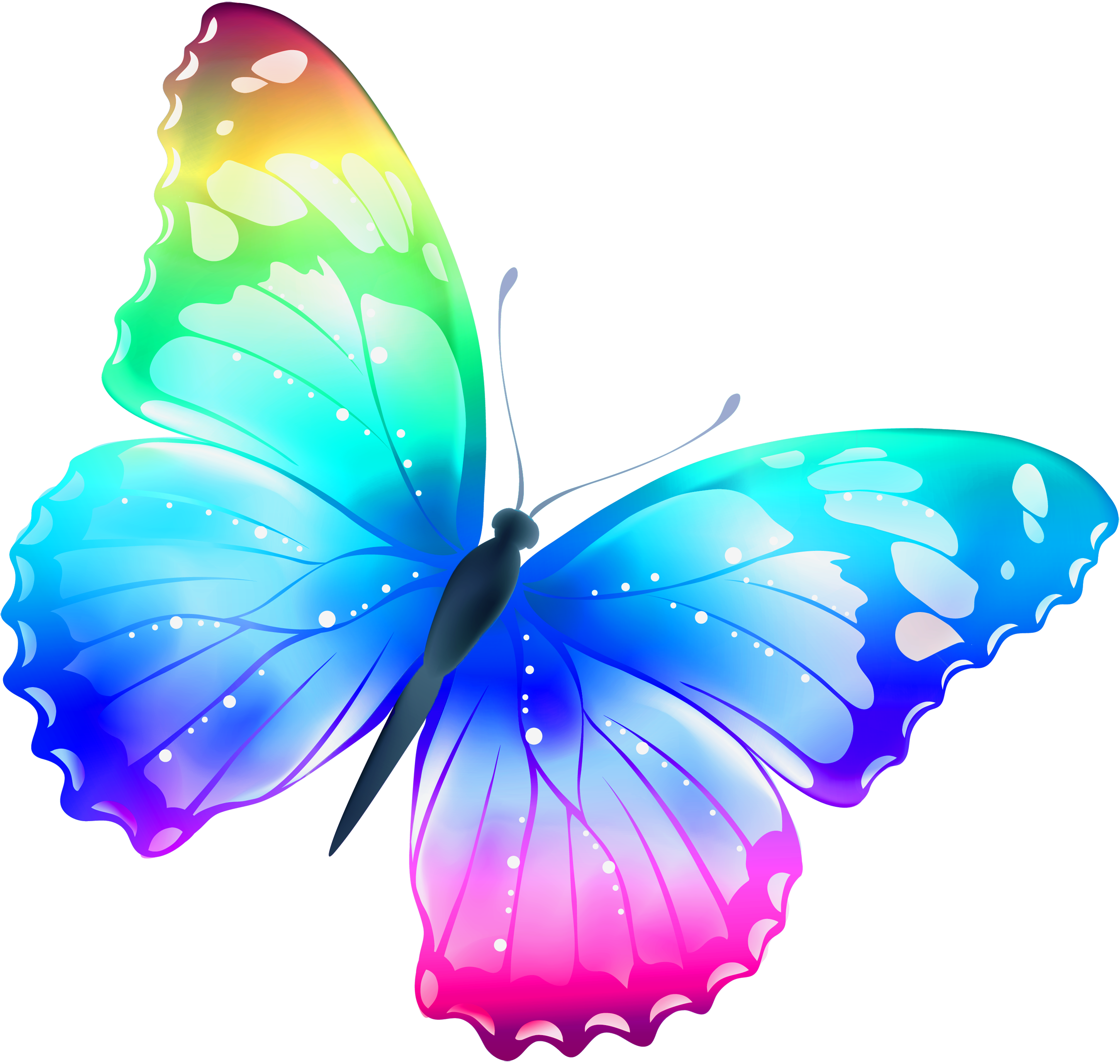 Butterfly Clipart Clip Art Library Butterfly Clipart Clip Art Library