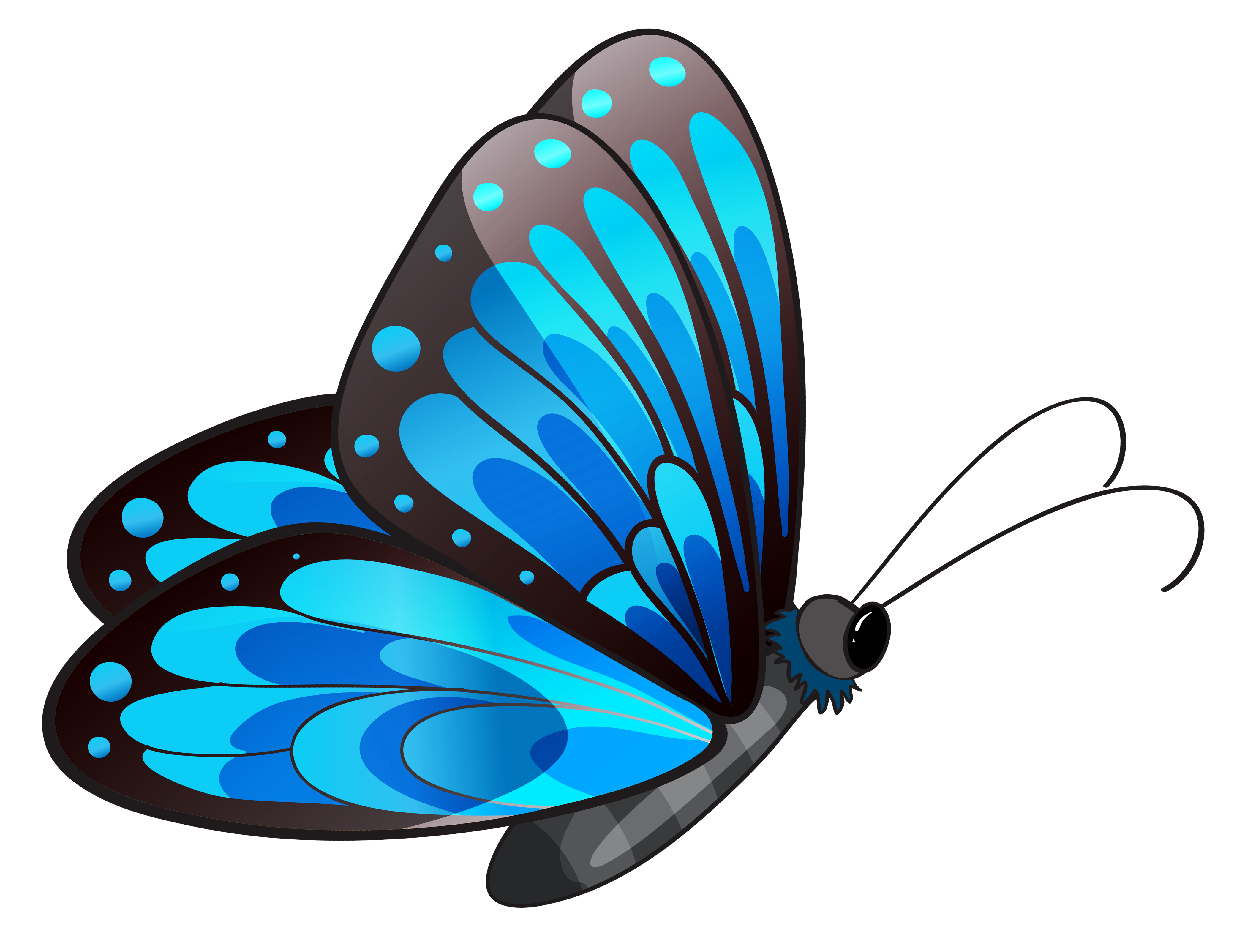 Pink And Purple Butterfly Clipart Clip Art Library Clip Art Library