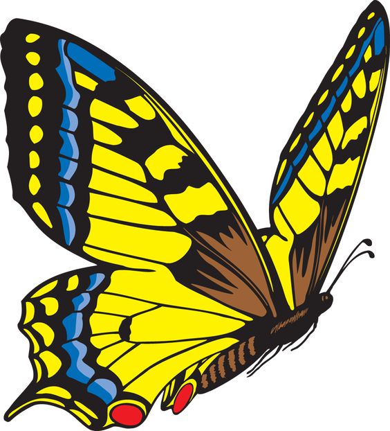 Butterfly Clipart_laoblogger