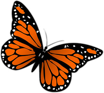 Monarch Butterfly Free Butterfly Graphics Images Of Butterflies 