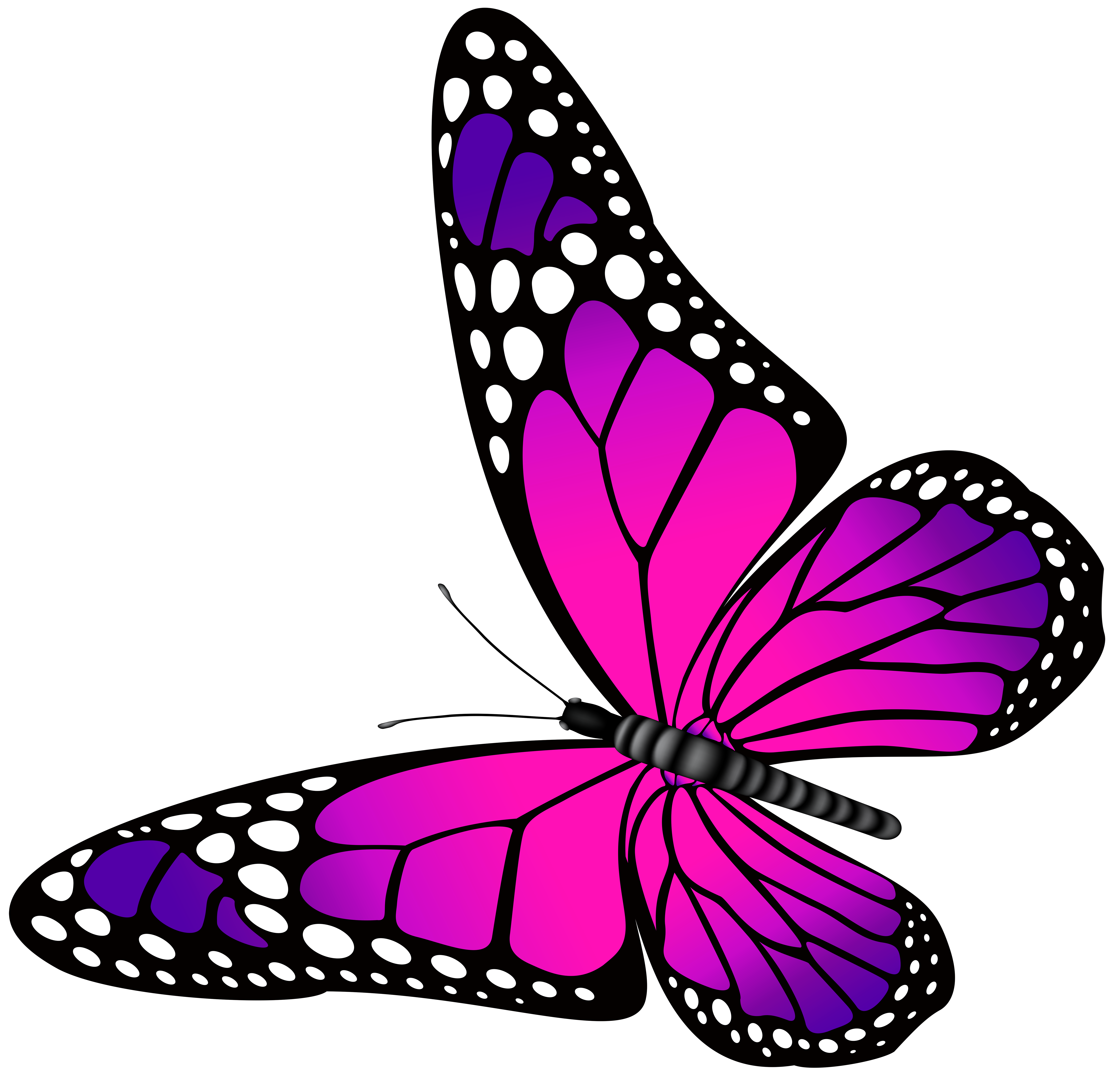 Butterfly Clipart Pretty At Norma Cuellar Blog