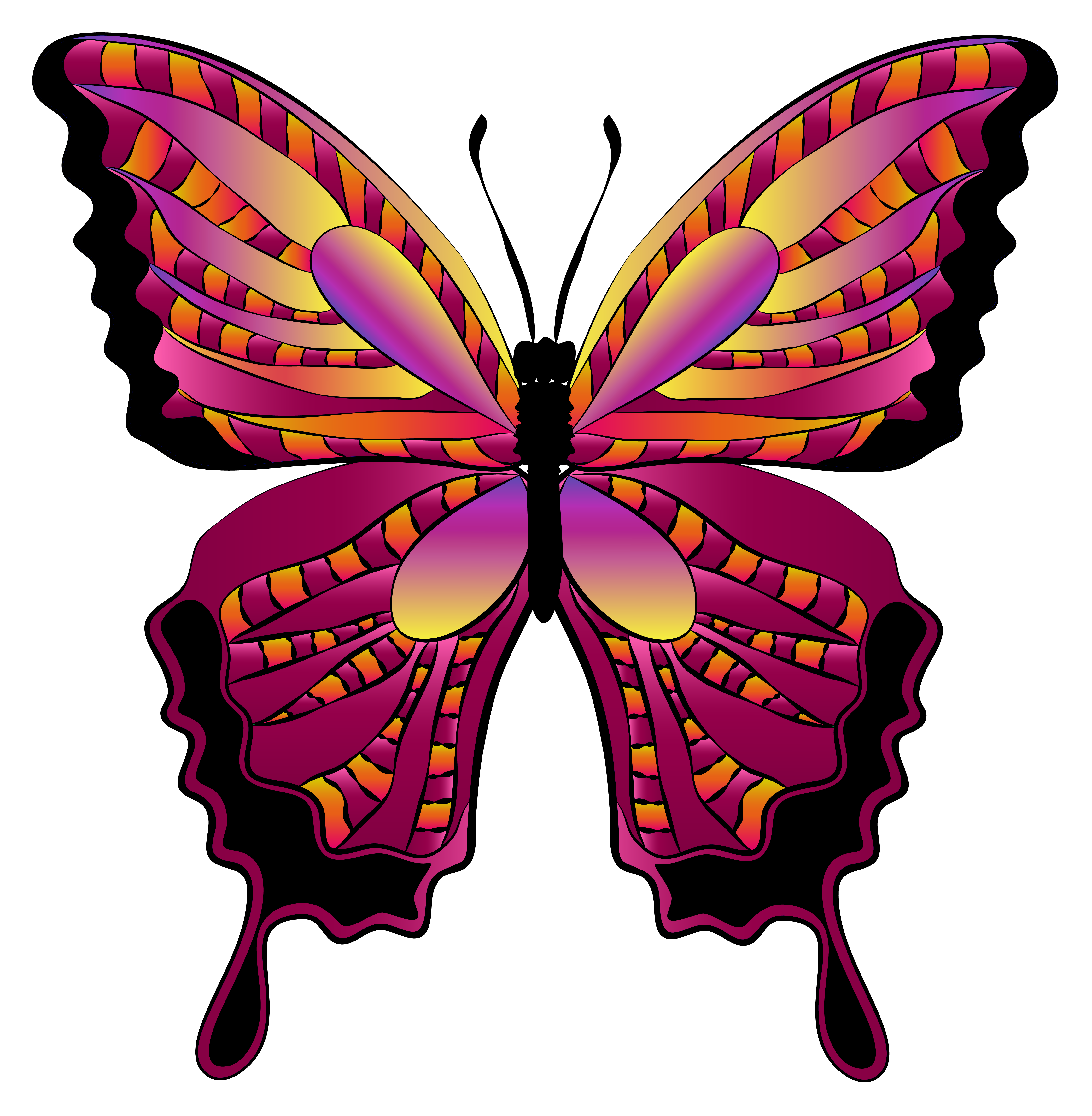 Butterflies Images Clipart Butterflies Images Clipart