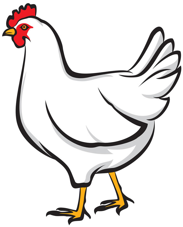 Clipart Hen Png Clip Art Library