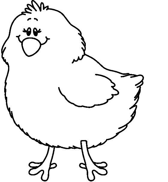 Chicken black and white image 