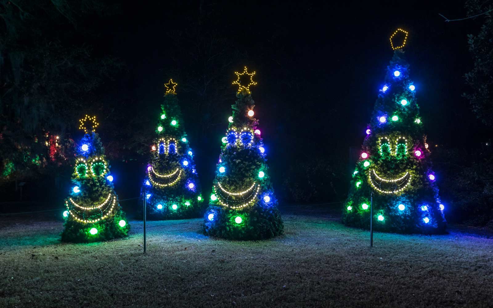 Christmas Lights 2016