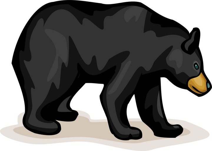 Black Bear Clip Art Clip Art Library