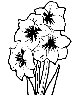 Line Art Flowers Free Download Clip Art 