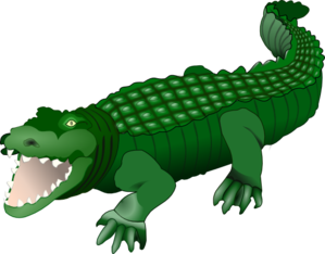 Free Crocodile Transparent Download Free Crocodile Transparent Png Images Free Cliparts On Clipart Library