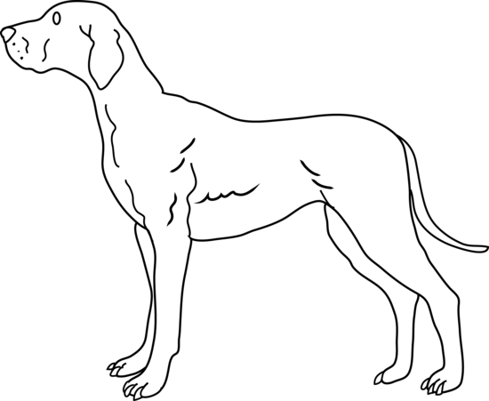 black and white dog clip art 