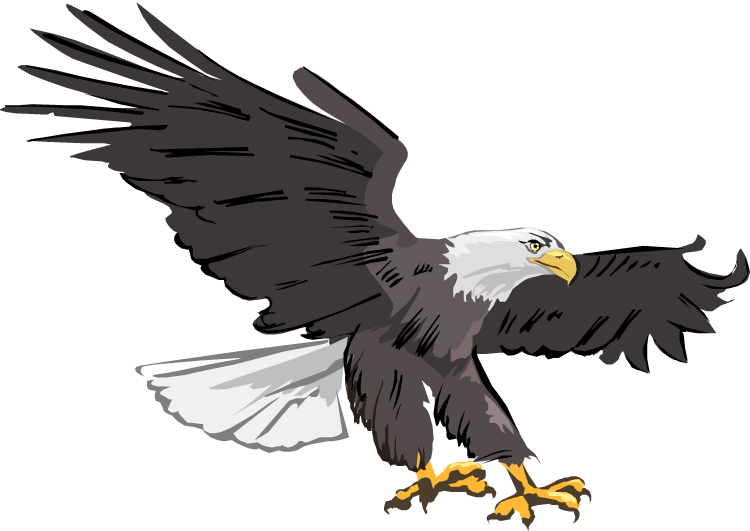 Eagle clipart ,flying eagle