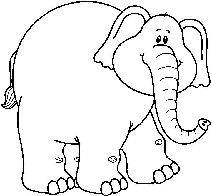 Elephant black and white