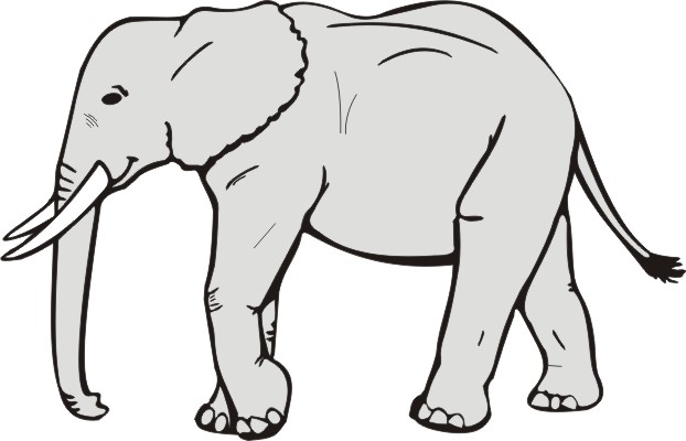 Elephant clip art black and white