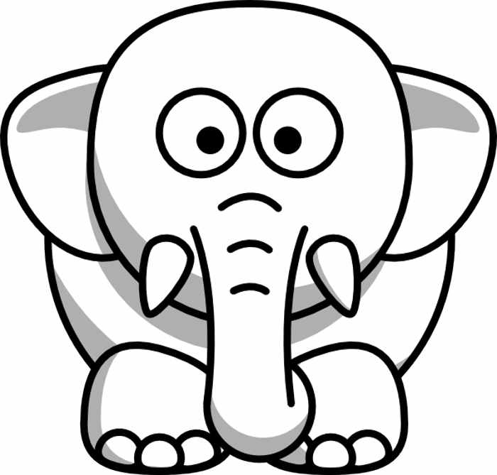 Elephant image 