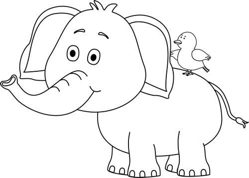 Best White elephant image