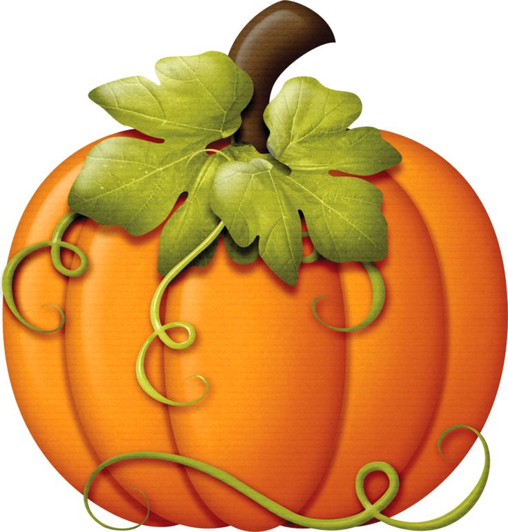 Transparent Background Fall Clipart